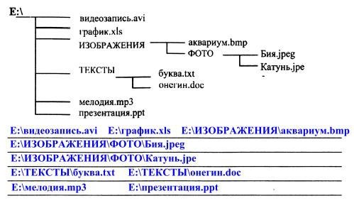 Рассмотрите рисунок сколько всего файлов хранится на диске е